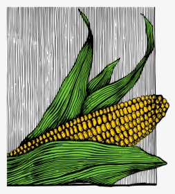 Corn On The Cob - Png Maiz Ilustracion, Transparent Png, Free Download