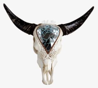 Texas Longhorn English Longhorn Animal Skulls - Bull, HD Png Download, Free Download