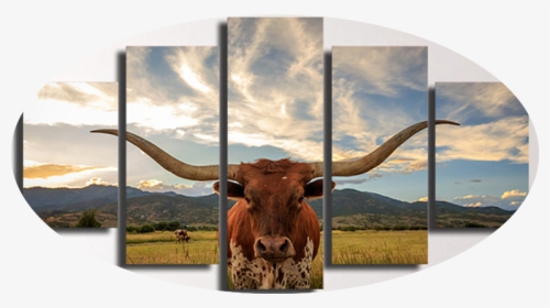 Transparent Straight Face Png - Longhorn Steer, Png Download, Free Download