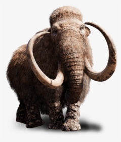 Far Cry Wiki - Walking Woolly Mammoth Toy, HD Png Download, Free Download