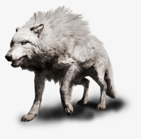 Transparent Far Cry 4 Png - Far Cry Primal Волк, Png Download, Free Download