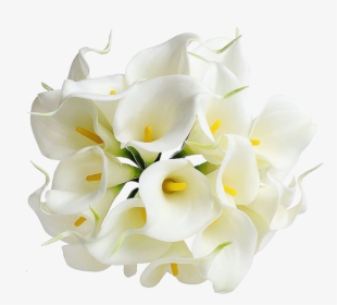 Calla Png Transparent Image - Transparent Background White Lily Png, Png Download, Free Download
