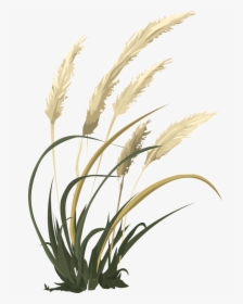Wheat Grass Agriculture Free Photo - Tall Grass Clipart Black And White, HD Png Download, Free Download