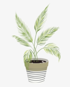Vector Indoor Plants - Illustration Of Indoor Plant Png, Transparent Png, Free Download