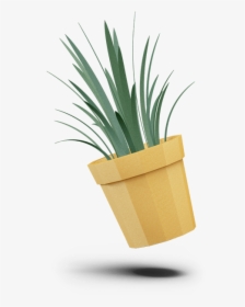 Agave, HD Png Download, Free Download