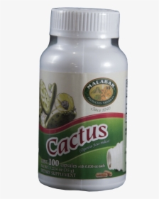 Cactus Nopal Pills - Lizard, HD Png Download, Free Download