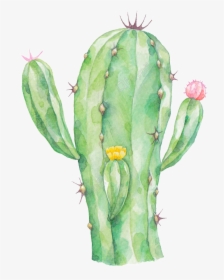 Cactus Png - Watercolor Transparent Cactus Clipart, Png Download, Free Download