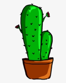 Collection Of Free Cactus Vector Psd - แค ค ตั ส Png, Transparent Png, Free Download
