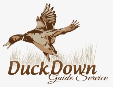 Duck Hunting Logo Design, HD Png Download, Free Download