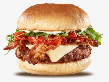 Read The Pdf - Gourmet Hamburger Png, Transparent Png, Free Download