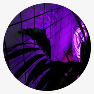 #circle #png #plant #purple #aesthetic #tumblr #light - Dark Purple Black And Purple Aesthetic, Transparent Png, Free Download