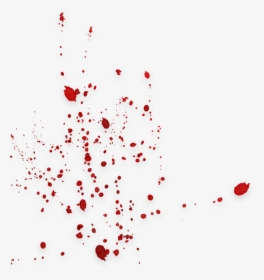 Blood Splatter - Illustration, HD Png Download, Free Download