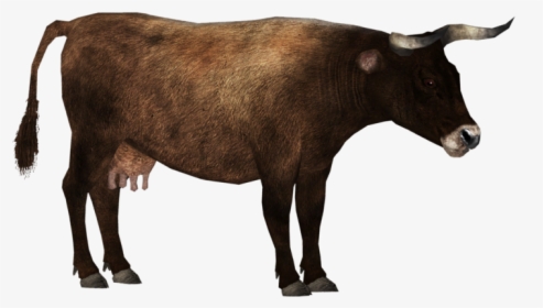 Aurochs - Zoo Tycoon 2 Cattle, HD Png Download, Free Download