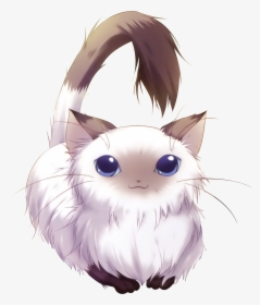 Adorable Anime Cats - Cat Renders, HD Png Download, Free Download