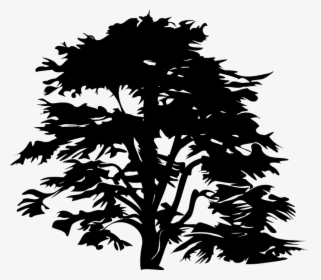 Pine Tree Clipart Dark Tree - Trees Clipart Black, HD Png Download, Free Download