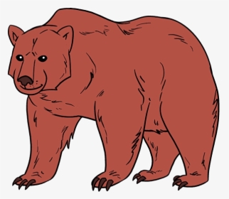 Easy Sun Bear Clipart Realistic Brown Drawing Free - Draw A Brown Bear, HD Png Download, Free Download
