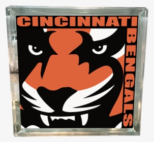 Cincinnati Bengals Nfl Los Angeles Rams American Football - Cincinnati Bengals Tiger Head, HD Png Download, Free Download
