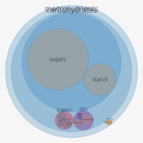 Circle, HD Png Download, Free Download