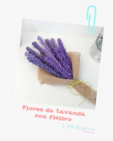 Buenos Dias Con Lavanda, HD Png Download, Free Download