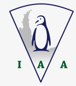 Instituto Antartida Argentina - Adã©lie Penguin, HD Png Download, Free Download