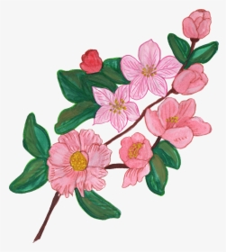 Flowers Images Painted Png, Transparent Png, Free Download