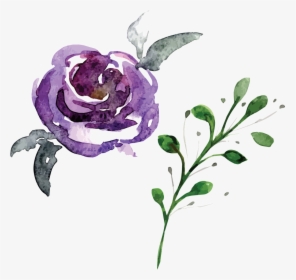 Hand Painted Flowers And Plants Hd Beautiful Illustration - Hand Painted Flowers Png, Transparent Png, Free Download