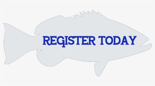 Fishing Rodeo Register Today Icon - Illustration, HD Png Download, Free Download