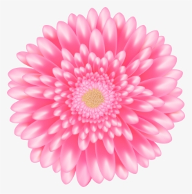 Transparent Daisy Flower Png - Portable Network Graphics, Png Download, Free Download