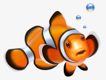 Tropical Fish Ico, HD Png Download, Free Download