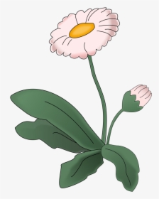 Flower Daisy Clip Arts - Illustration, HD Png Download, Free Download