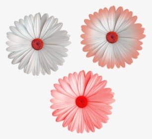 Daisy - Colorful Flower Png Hd, Transparent Png, Free Download