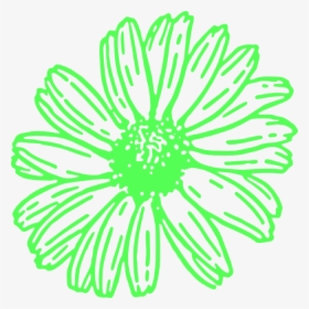 Green, Daisy, Flower, Svg Clip Arts - Clip Art, HD Png Download, Free Download