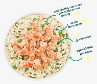Cheating Gourmet Shrimp Bowls Review, HD Png Download, Free Download