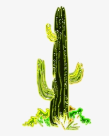 Gambar Pohon Kaktus Animasi, HD Png Download, Free Download