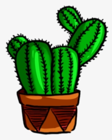 Green Plant Png And - Cactus, Transparent Png, Free Download