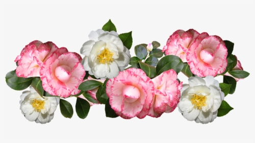 Camellias, Flowers, Arrangement, Decoration - Camelias Png, Transparent Png, Free Download