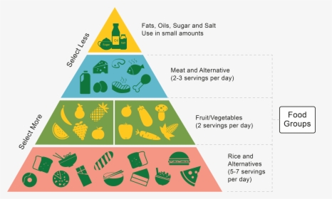 Transparent Food Pyramid Png - Types Of Food Group, Png Download, Free Download