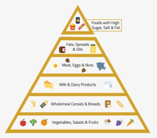 The Pyramid Bifurcates The Different Food Groups And - Hierarchy Of Operations Maths, HD Png Download, Free Download