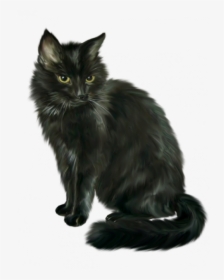 Chat Noir - Long Hair Black Cat, HD Png Download, Free Download
