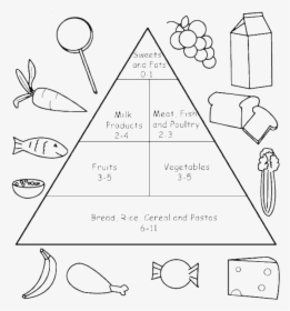 Food Pyramid Worksheets For Grade 3, HD Png Download, Free Download