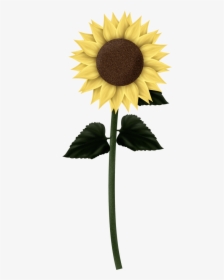 Download Sunflowers Png Clipart - Sunflower Clip Art Square Border, Transparent Png, Free Download