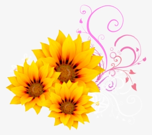 Sunflower And Pink Flowers, HD Png Download, Free Download