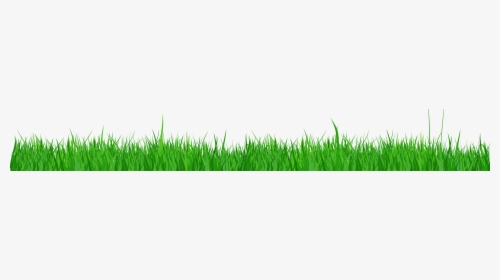 Transparent Image Of Grass, HD Png Download, Free Download