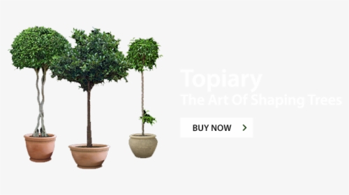 Imgslider - Flowerpot, HD Png Download, Free Download