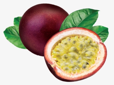 Passion Fruit Png - Passion Fruits Images Free Download, Transparent Png, Free Download