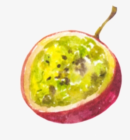 Hand Painted Cut Passion Fruit Png Transparent - Sweet Granadilla, Png Download, Free Download