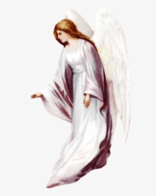Angel Transparent Background, HD Png Download, Free Download