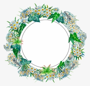 Round Garland Transparent Decorative - Circle, HD Png Download, Free Download