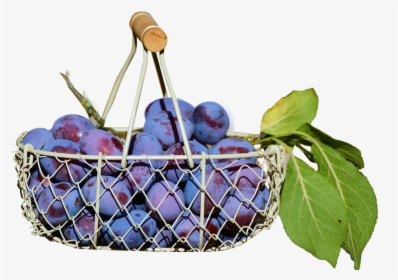 Plums In The Basket, Fruit, Isolated, Food, Healthy - Plum Basket Png, Transparent Png, Free Download