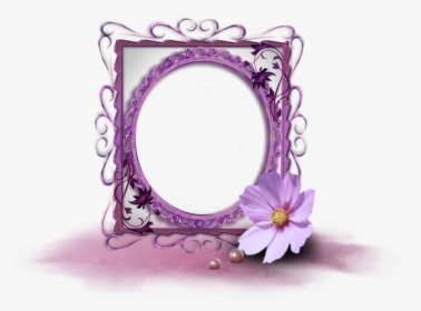 Purple, Picture Frame, Flower, Design - Bingkai Bunga Mawar Ungu, HD Png Download, Free Download